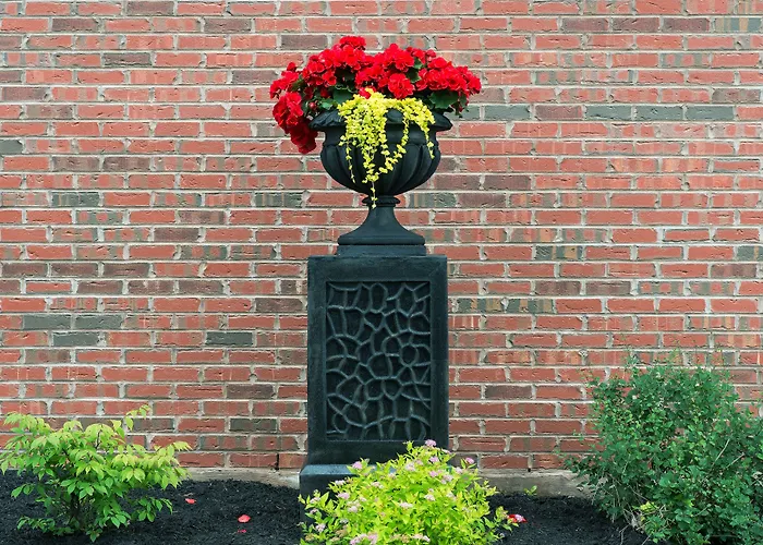 Sydney Boutique Inn & Suites Charlottetown